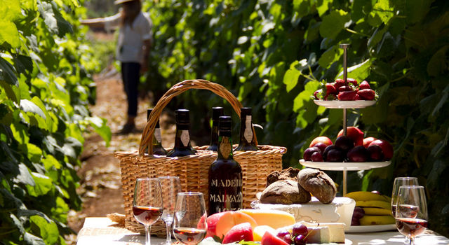 Madeira Wine Picnic, Calheta Vineyards