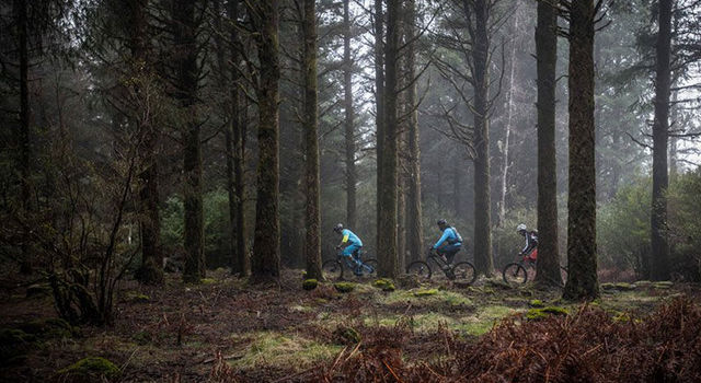 Bike forest