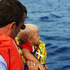 Dad and a baby whatching dolphins