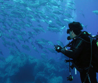 Scuba diving and seeing fishes
