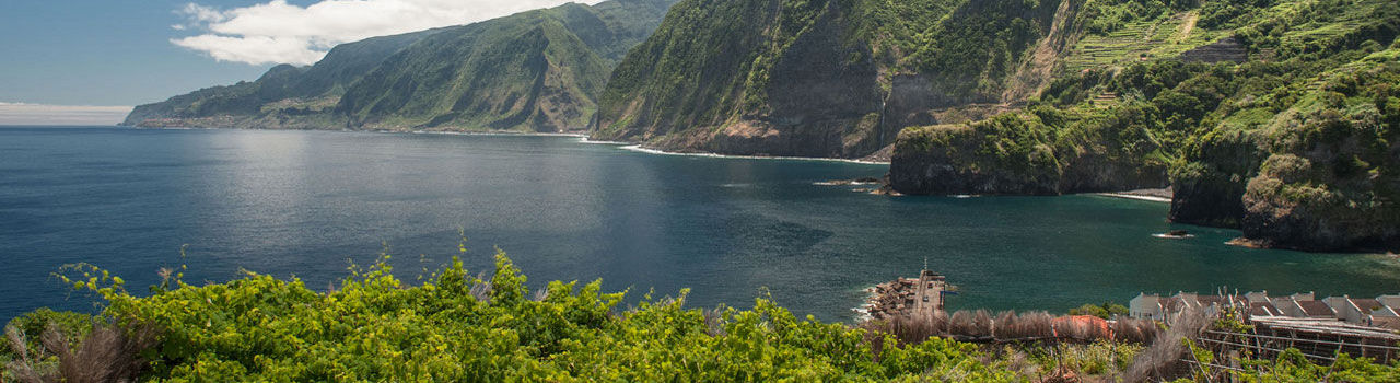 Madeira Vineyards paradise view