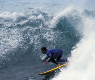 surf madeira