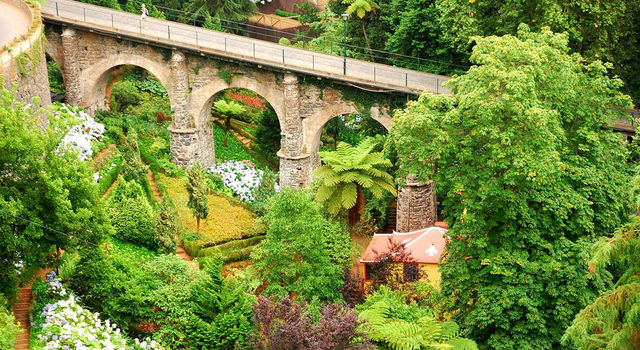 Amazing garden in Monte