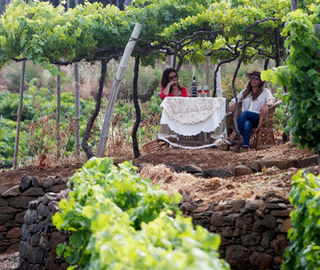 Picnic in the vineyards in Madeira