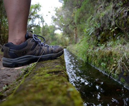 Walking along a Levada in Madeira