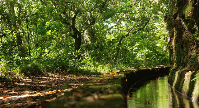 Madeira Nature Festival - Festival