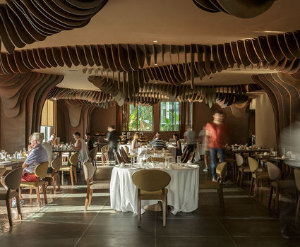 Restaurant Terra at The Vine