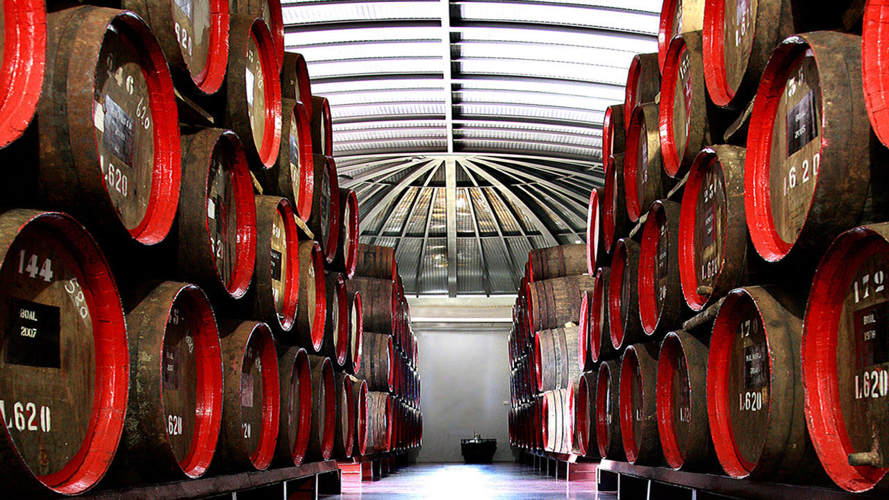 Vinhos Barbeito Cellar